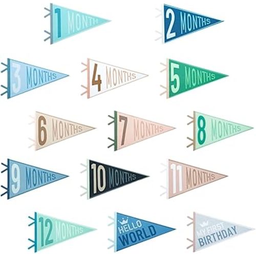 14 Pcs Monthly Milestone Felt Pennants and Triangle Banners for Photo Props and Bedroom Decor, Age Milestone Flags for Early Photography and Birthdays, First Year Memory