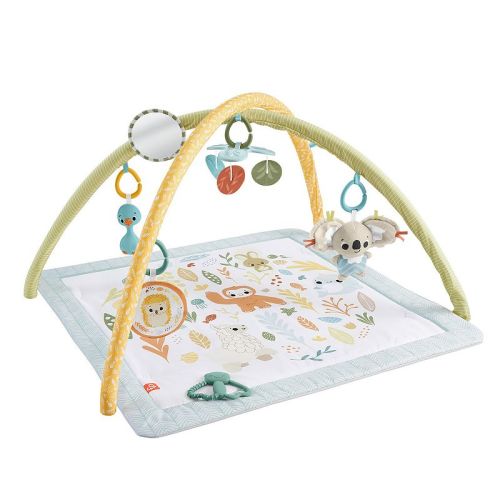 Fisher-Price Simply Senses Newborn Gym Baby Activity Mat with 6 Sensory Toys