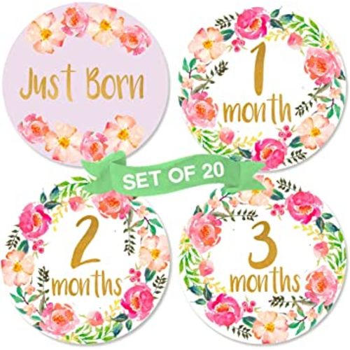Baby Girl Monthly Milestone Stickers | Set of 20 Floral Gold Stickers | Birth to 12 Months + 8 Bonus Achievement Stickers | for Baby Girl