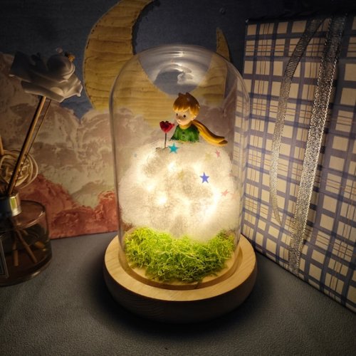 Handmade Little Prince Night Light Star Sequins and Rose - Etsy