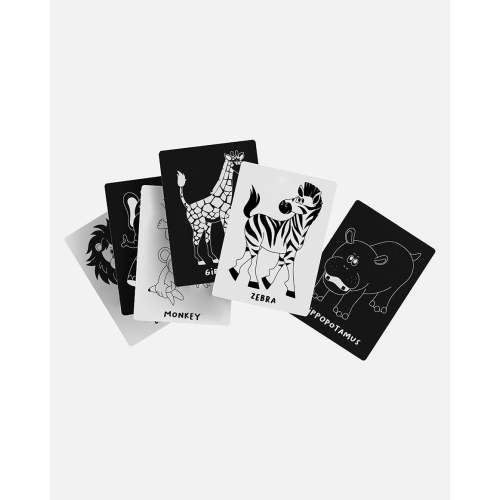 Art Cards - Safari Animals