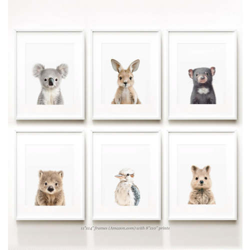 Nursery Art Baby Australian Animals Set of 6 - Printable Art Package - The Crown Prints
