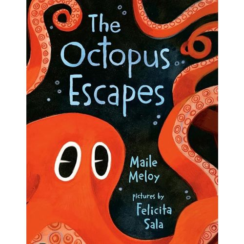 The Octopus Escapes Board book – Picture Book, May 9, 2023