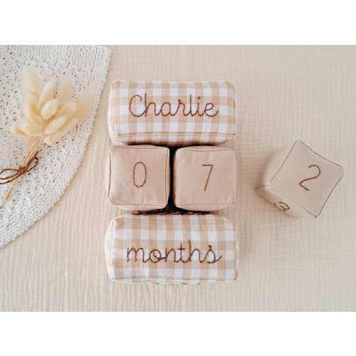 Gingham baby milestone blocks, Custom name age blocks set, Beige and white checkered month blocks, Personalized gift for new mom