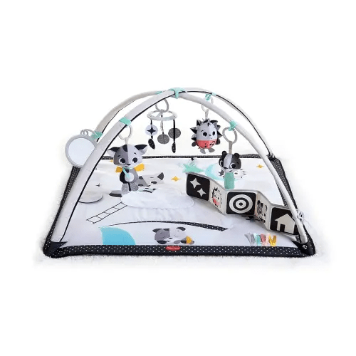 Tiny Love Baby Tummy Time Play Mat, Gymini Deluxe Baby Play Mats for Floor, Magical Tales Black & White Activity Gym