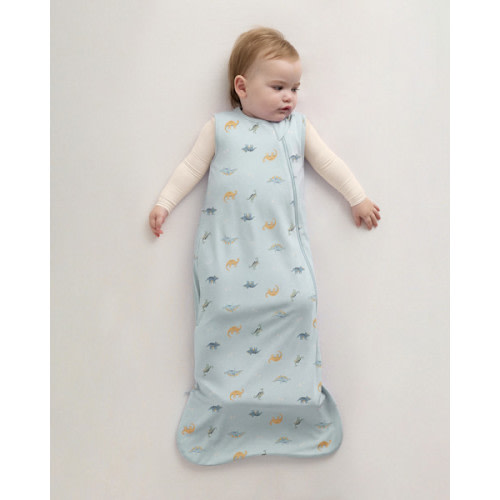 Bamboo Sleep Bag 1.0 TOG in Baby Blue Little Dino