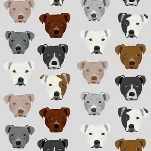 Lovey, Baby Blanket, or Adult Blanket: Pit Bulls on Gray. Dogs. Minky. Soft. Cuddly. Puppies. Pitty. Pitbull. Boy. Staffordshire Terrier.