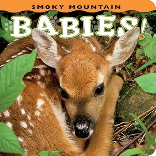 Smoky Mountain Babies! (Babies! (Farcountry Press)) Board book – March 15, 2011