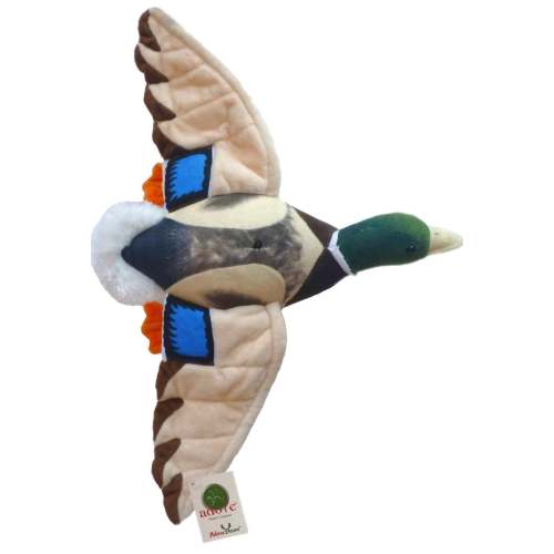 Drake Mallard Wall Mount