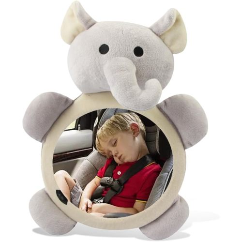 Rear Facing Baby Mirror