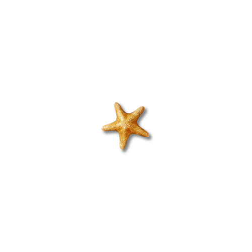 SEA LIFE Aquarium Melbourne - Package Details