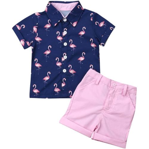 VISGOGO Toddler Baby Boy Flamingo Short Sleeve Button Down Shirt & Casual Shorts Set Summer Outfits 1-6 Years Clothes - 1-2T - Blue&pink