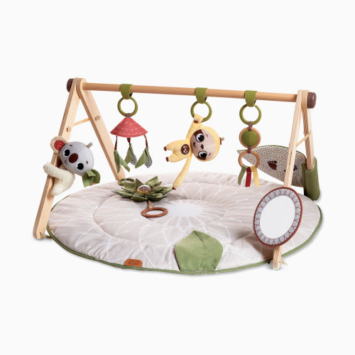 Boho Chic Luxe Developmental Gymini