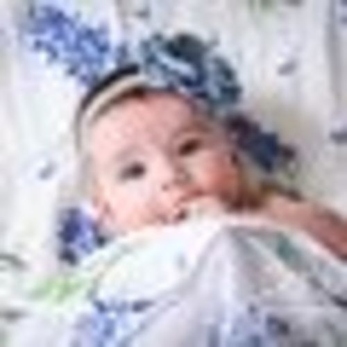 Gift Set: Bluebonnets Baby Muslin Swaddle Blanket and Burp Cloth/Bib Combo