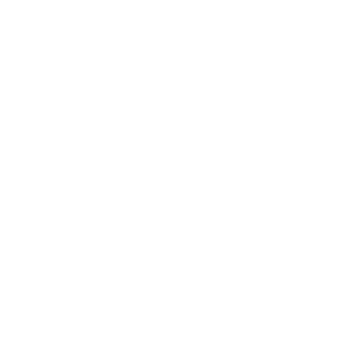 Dirt Bike Darlin Milestone Blanket – Strictly Wild