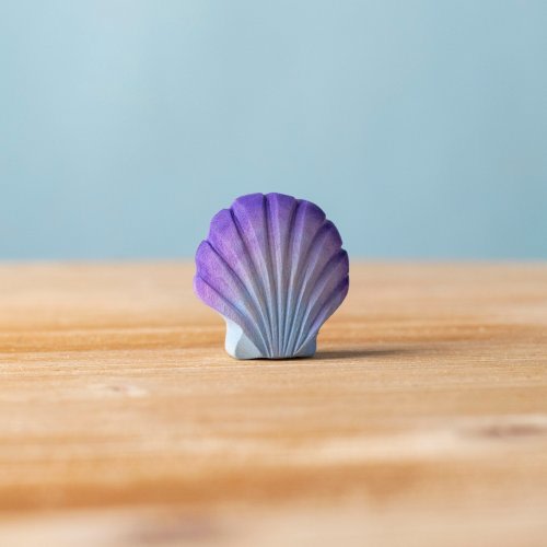 Violet Seashell