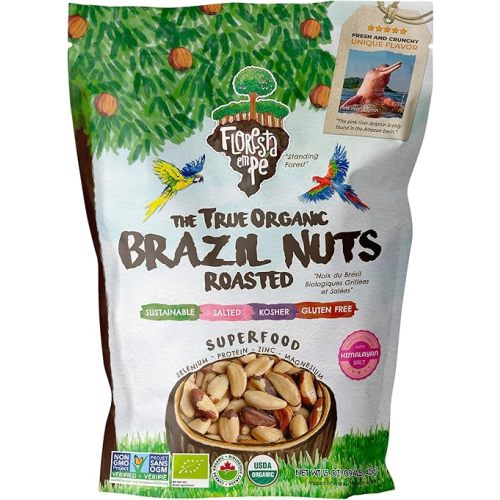 FLORESTA EM PÉ - The True Organic Premium Brazil Nuts (15oz) Roasted & Himalayan Salt | KOSHER | Non-Gmo | Certified Organic | No Oil | Fresh | Vegan | Gluten Free | Keto and Paleo Friendly | Sustainably Harvested