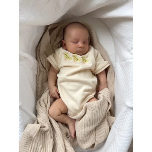 3 Little Ducks Bubble Romper
