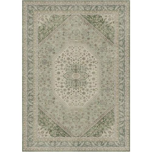 DCX 25-0003-vintagefloral-green-5x7area Rug