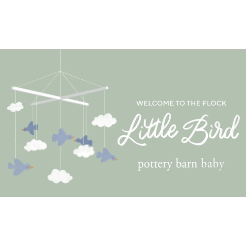 E Gift Card – The Perfect Gift for Any Occasion | Pottery Barn Kids