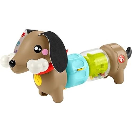 Fisher-Price Activity Puppy with Sounds and Twists, Motor Aid Toy with Different Textures and Colors, for Babies +6 Months (HTW91)