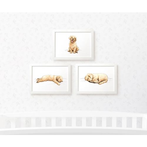 Golden Retriever set of 3 prints, dog print nursery wall art, golden retriever gifts for dog lovers, dog nursery art new baby gift