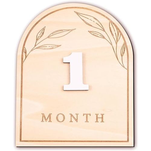 Baby Monthly Milestone, Wooden Baby Milestone Signs, Monthly Milestone Wood Discs, Baby Milestone Discs (Boho)