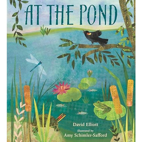At the Pond (Paws, Fins, Feathers, Claws) Hardcover – Picture Book, May 24, 2022