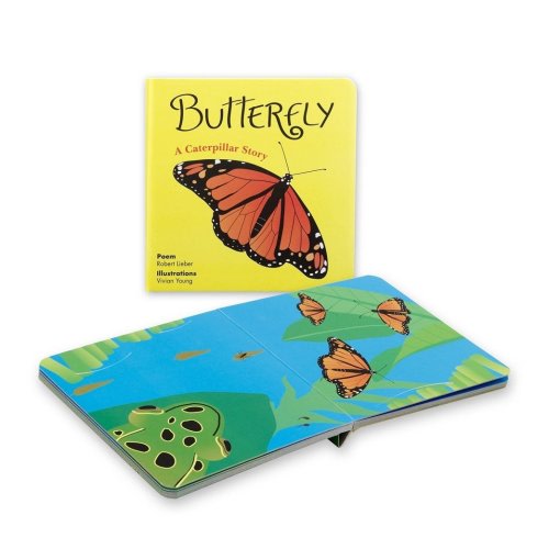 Board Book - Butterfly and Frog