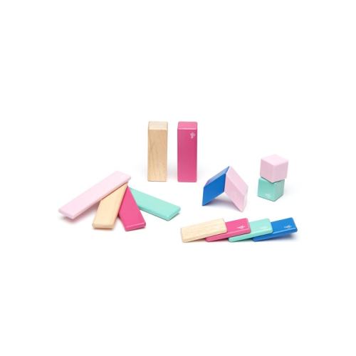 Magnetic Wooden Block Set (14 Pc)