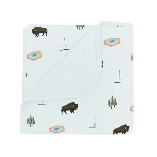 Baby Blanket in Yellowstone 1.0