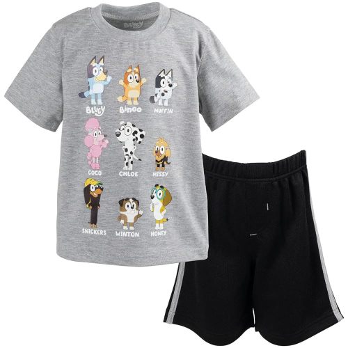 Bluey Bingo T-Shirt and Mesh Shorts Outfit Set Toddler to Big Kid