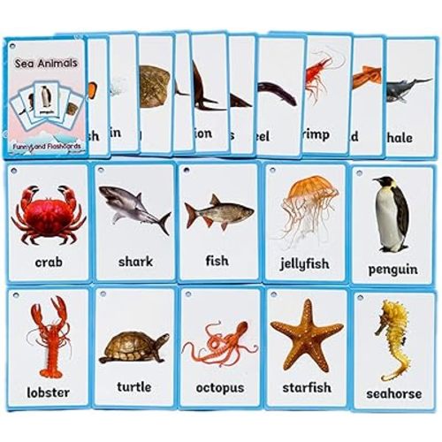 20PCS/Set Sea Animals Kids Gifts English Flash Cards Pocket Card Educational Learning Baby Toys for Children Pre-Kindergarten