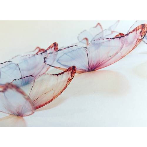 Unicorn wings - Blush Lavender butterflies - 3D pastel pink translucent butterfly - wall art butterfly wall decor - white butterflies