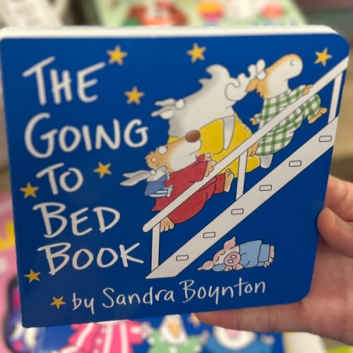 The Going to Bed Book