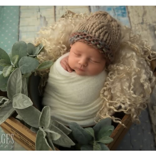 Newborn Photos $400