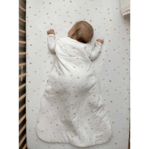 Sleep Sack - Ducks / 1.0 TOG