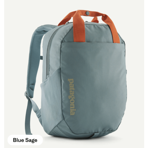 Patagonia Atom Tote Backpack 20L