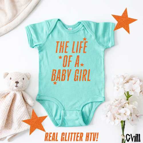The Life Of A Baby Girl, Baby Bodysuit,  Baby Shower Gift, Gender Reveal, In My Baby Era, Newborn Era, Baby Girl Gift, Baby Girl Outfit