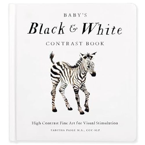 Baby's Black and White Contrast Book: High-Contrast Art for Visual Stimulation at Tummy Time (Our Little Adventures Series)