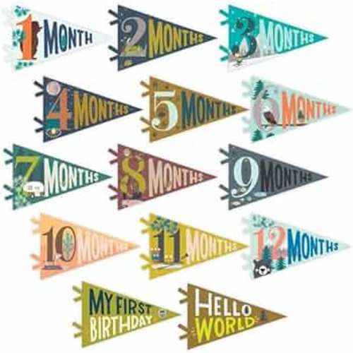 Lucy Darling Petit Milestone Pennants, 12 Felt Baby Monthly Milestone Banners for Baby Girl & Boy, Newborn Photography Props & Decor, Felt Pennant Flags, Perfect Baby Shower Gifts (Little Camper)