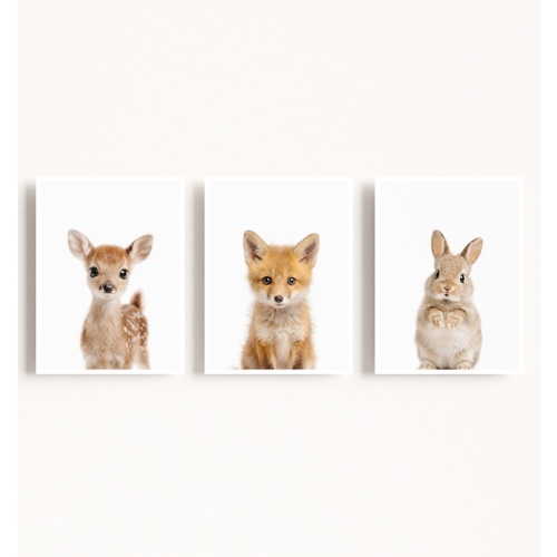 Design Your Own Baby Animal Art Gallery Wall - 3 Prints
