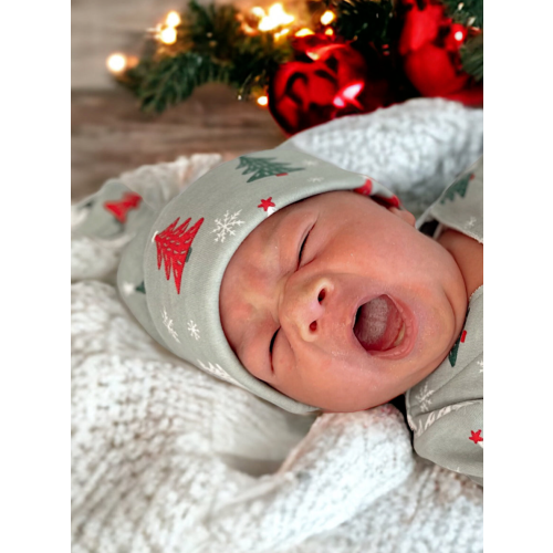 Christmas Trees / Organic Beanie