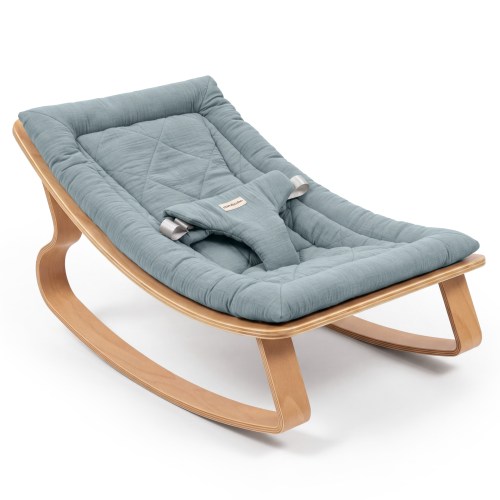 Baby Rocker for Ages 0-24 Months in Pacific Blue