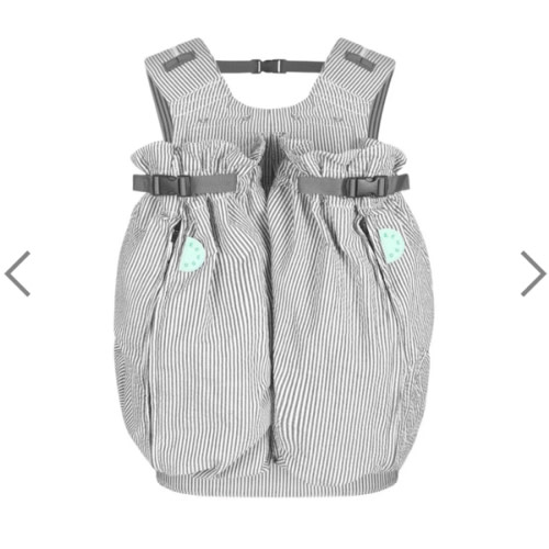 The Weego TWIN Baby Carrier