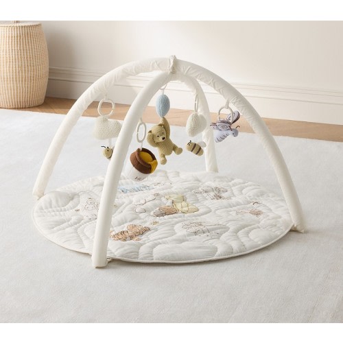 Winnie the Pooh Activity Gym