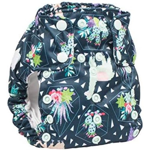 No Prep Organic Cloth Diaper Dream Diaper 2.0