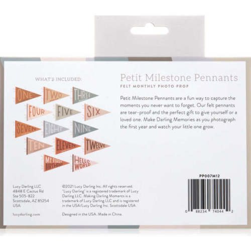Mountain Fields Petit Milestone Pennant - Lucy Darling | Maisonette