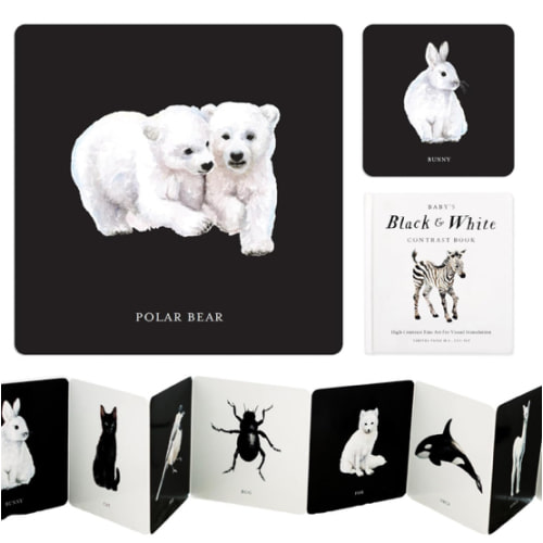 Baby's Black and White Contrast Book: High-Contrast Art for Visual Stimulation at Tummy Time (Tabitha Paige Children's Book Series)