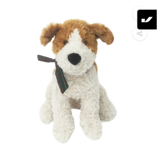 Jacques the Jack Russell